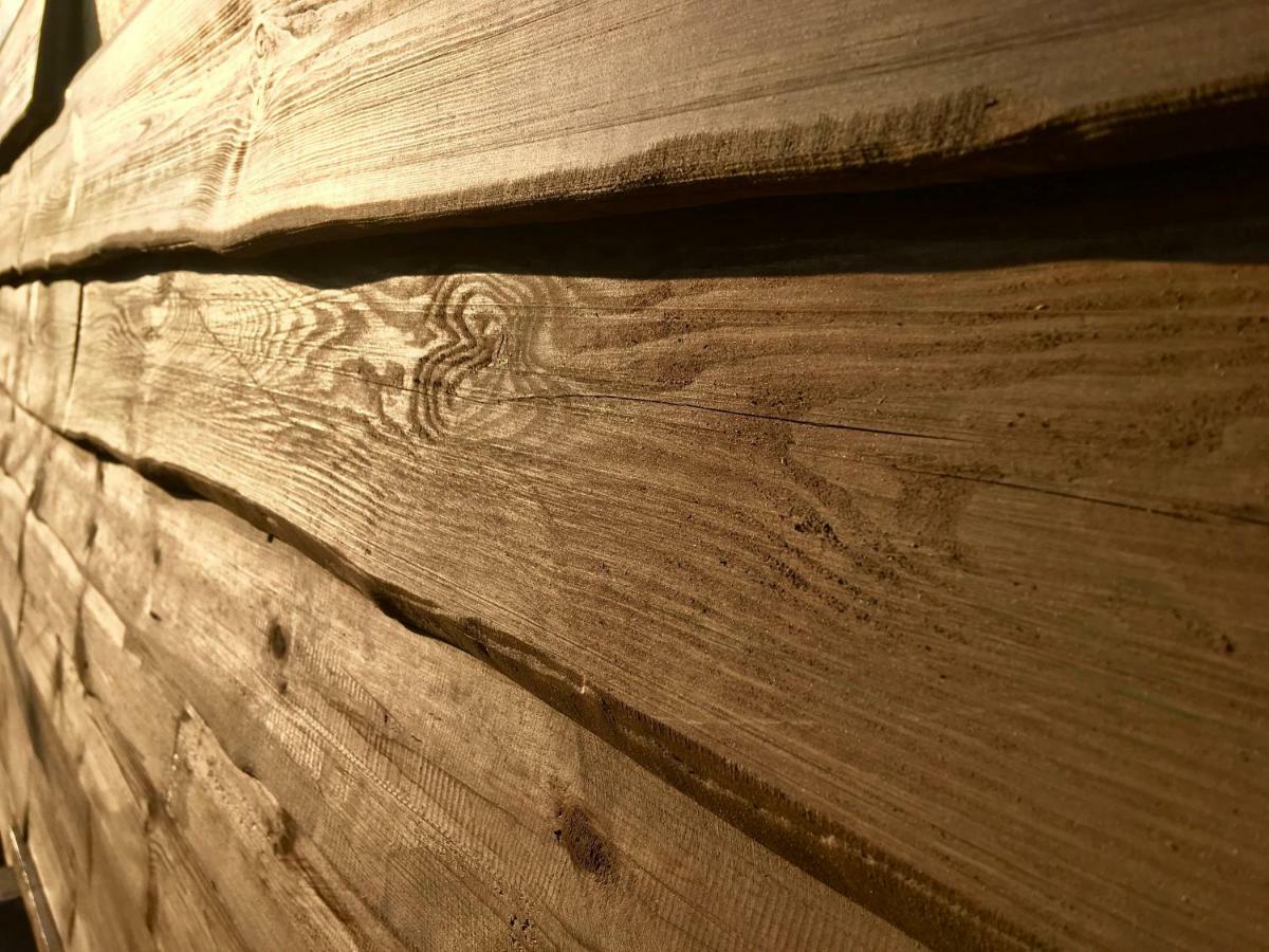 Holzhaus Trollbluemchen Am Wald Und See Neuruppin Kültér fotó