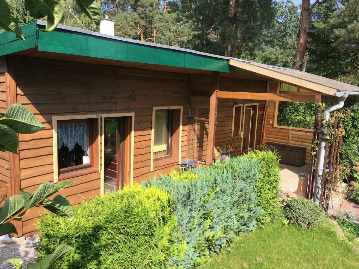 Holzhaus Trollbluemchen Am Wald Und See Neuruppin Kültér fotó
